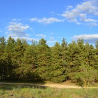 **** :: Виктор 