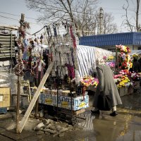 Из прошлых вёсен      2011 :: Владимир Носов