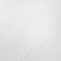 На юг :: Tina Kott