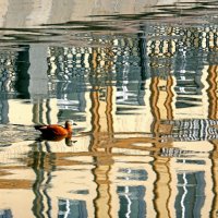 Садовническая наб 19 марта :: Михаил Бибичков