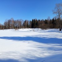 Совсем немного осталось и пруд заживёт другой жизнью... :: Алена Совсем немного осталось и пруд заживёт другой жизнью... :: Алена