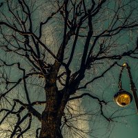 Уже зажглись фонари (мистический этюд). :: Игорь Викторов