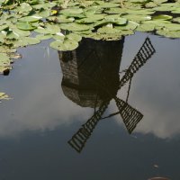 В опрокинутом Мире мир очень красив..... :: Алёна Савина В опрокинутом Мире мир очень красив..... :: Алёна Савина