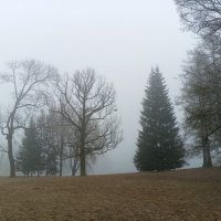 Туман :: Сапсан 