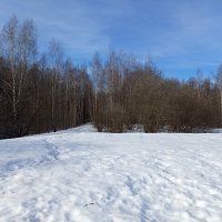 Март как весенний месяц :: Андрей Лукьянов