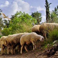 в любимом  парке :: Осень 