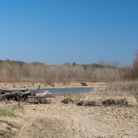 Река Кубань :: Игорь Сикорский