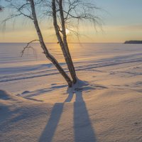 Вечерний свет.......... :: Юрий Цыплятников