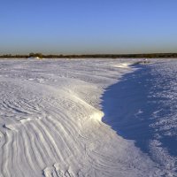 На боголюбовском лугу в феврале :: Сергей Цветков