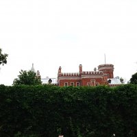 Рамонь :: Елена Шаламова