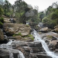 Шри-Ланка. Водопады Эссе. :: Александр Беляков