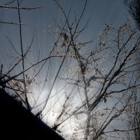 Детали природы :: Роман Савоцкий