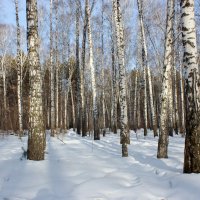 Мартовским днем в парке :: Галина Нестратова