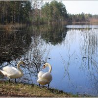 *** :: Aleksandr Gal *** :: Aleksandr Gal