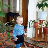 в гостях у бабушки :: Наталья Штанулина