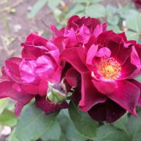 ,,, :: Сергей Тимоновский