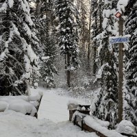 Зима :: Радмир Арсеньев