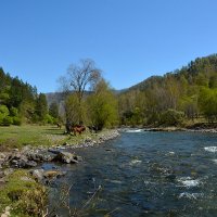 За Уожаном :: Валерий Медведев