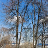 Весна идёт — весне дорогу! :: Сергей Б. Весна идёт — весне дорогу! :: Сергей Б.