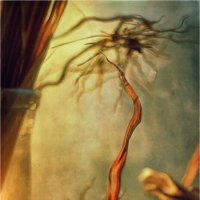 На закате. :: Oleg Rastorguev На закате. :: Oleg Rastorguev