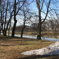Михайловский сад. Март :: Наталья Герасимова
