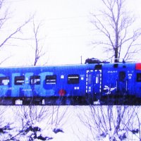 Рэкс в пути :: Людмила Смородинская