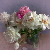 Цветочное настроение. :: Марина Леонидовна