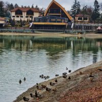 На озере :: Мариша