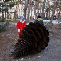 В парках Воронежа :: Елена Шаламова В парках Воронежа :: Елена Шаламова