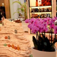 Орхидеи чаруют, восхищают. :: Татьяна Помогалова