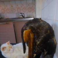 *** :: Сергей Кочнев