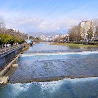 р.Сочи :: Tata Wolf