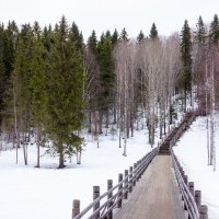 Музей деревянного зодчества Малые Корелы :: ирина )))