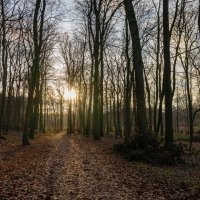 Дорога на закат... :: Николай Гирш