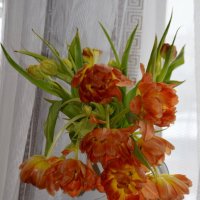 Если вы что-то будете делать, то что-то будет меняться. :: Таня Фиалка