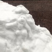 существо непонятного рода :: zavitok *