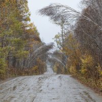 Дождливый осенний маршрут :: Сергей Герасимов Дождливый осенний маршрут :: Сергей Герасимов