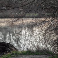 *** :: Игорь Протасов *** :: Игорь Протасов