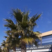 * :: Serega SchütZ * :: Serega SchütZ