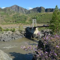 Ороктойский мост :: Валерий Медведев Ороктойский мост :: Валерий Медведев