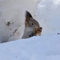 ,...... :: Алексей .