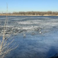 Весна в Купчино :: Наталья Герасимова