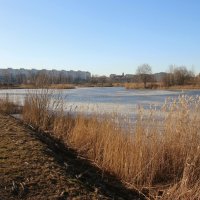 Весна в Купчино :: Наталья Герасимова