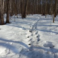 Март в Измайловском парке: мы пойдем другим путём :-) :: Андрей Лукьянов