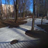 Март в городе :: Андрей Лукьянов