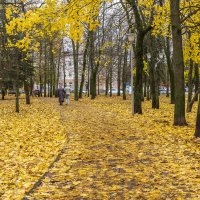 Золотая осень в Курске :: Александр Буторин