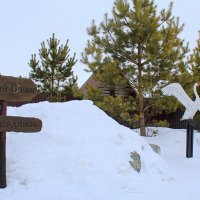 9 марта на озере Светлом (Лебедином) :: Татьяна Лютаева