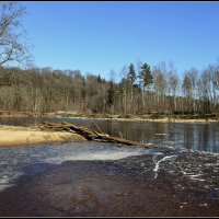 Весна :: Aleksandr Gal