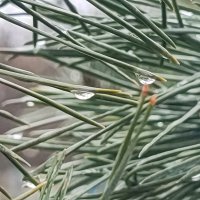 ,,, :: Сергей Тимоновский