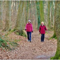 В ЛЕСУ... :: Elvira E.